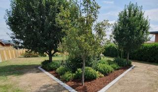 Hecke mit Mähkante