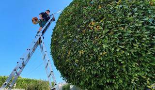Hecke