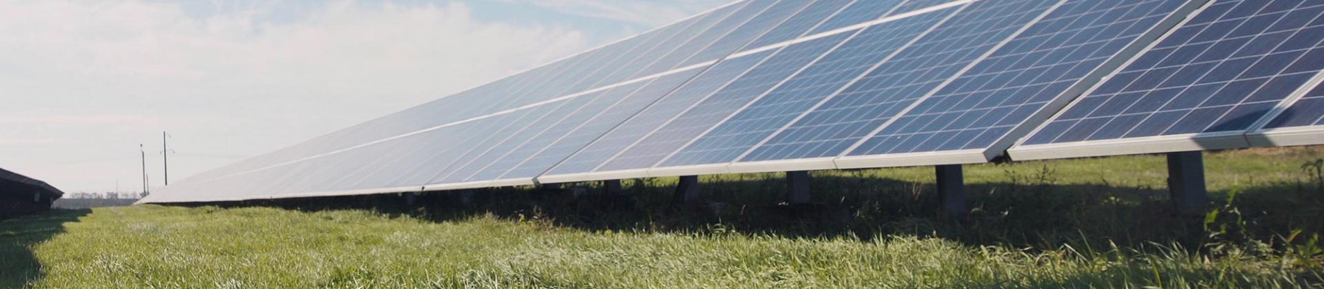 Solarpark Wiese