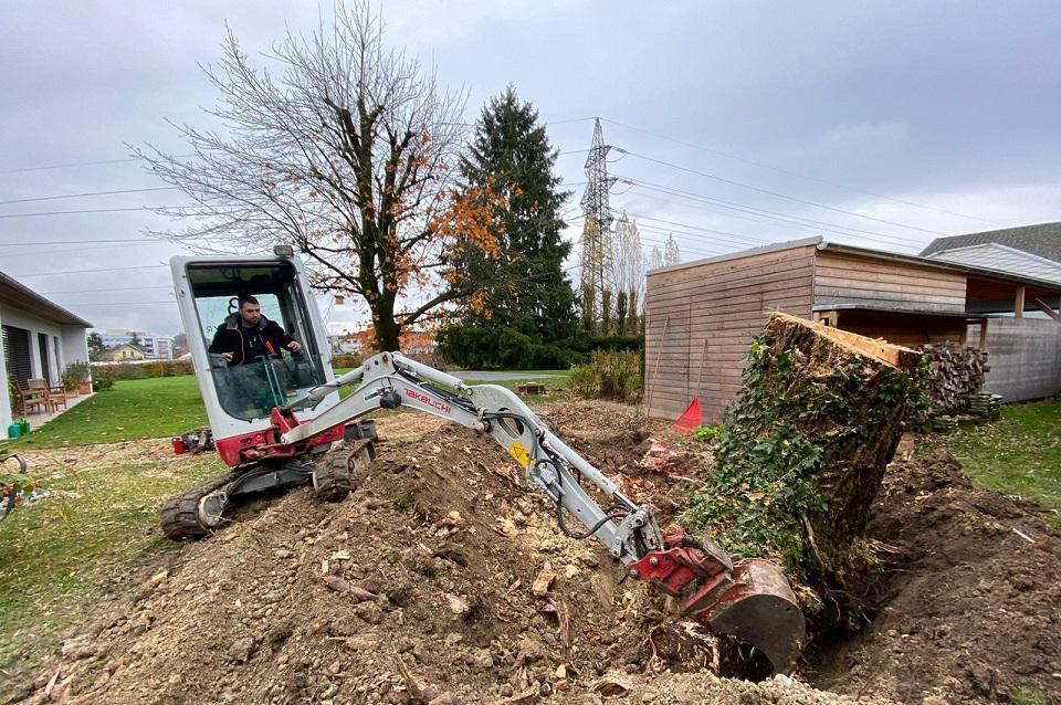 Baumfäll Arbeiten Brandlmayr Gartenbau