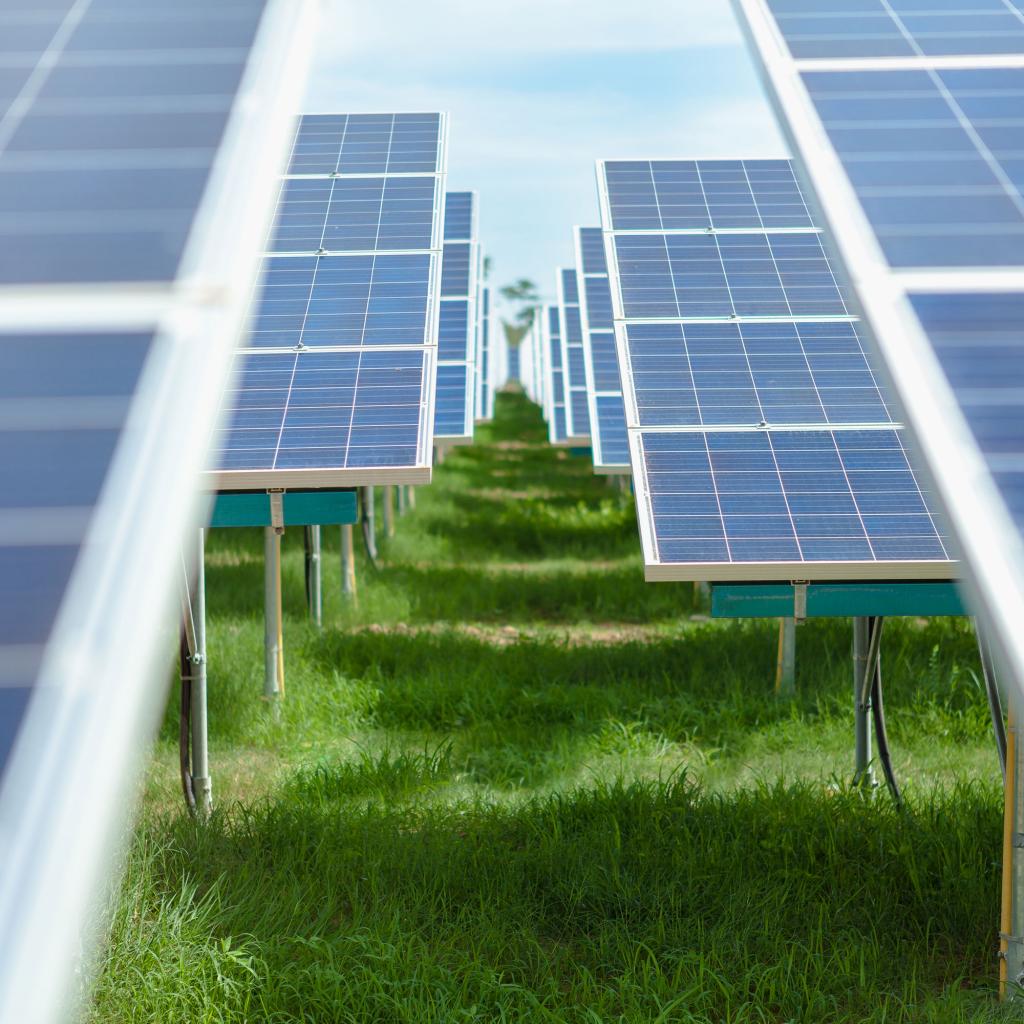 Solar Panele